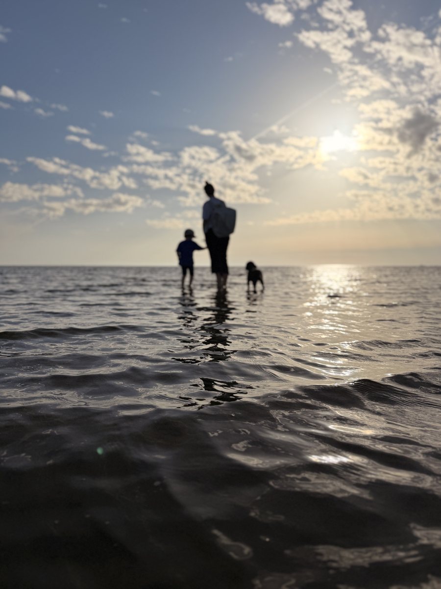 Silhouetten einer Familie mit Hund, die vom flachen Wasser aus ins Licht laufen
